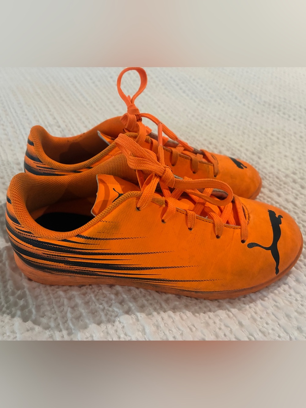 Puma Indoor Soccer Shoes